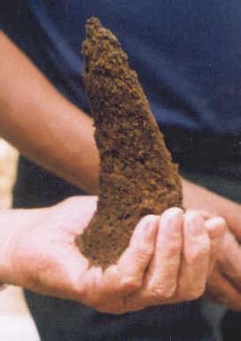 அங்கக வேளாண்மை :: வெற்றிகரமான அங்கக வேளாண்மை