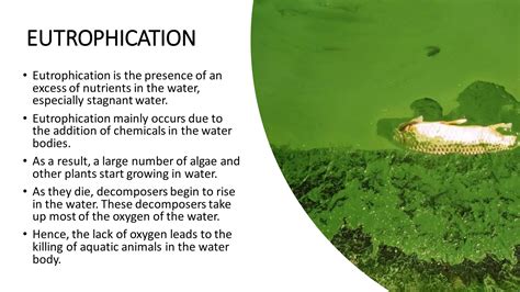 Chapter - 18, Pollution of Air and Water, Science, Class 8 | PDF