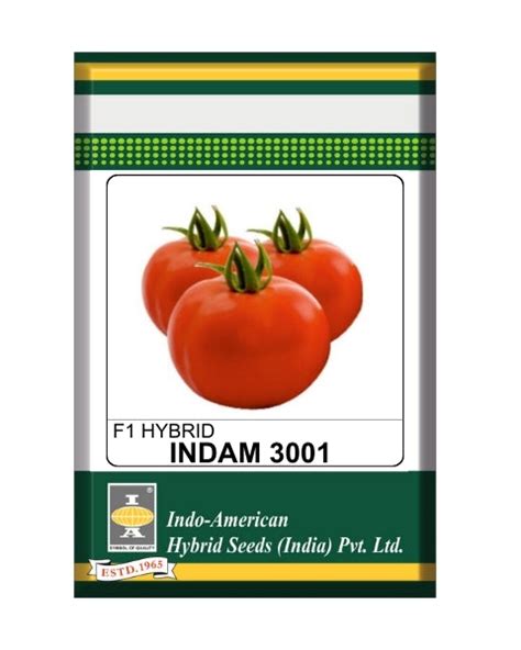 Buy Iahs Tomato Indam 3001 Online Starting @ 405/- | BigHaat | BigHaat