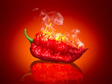 Why Is So Spicy