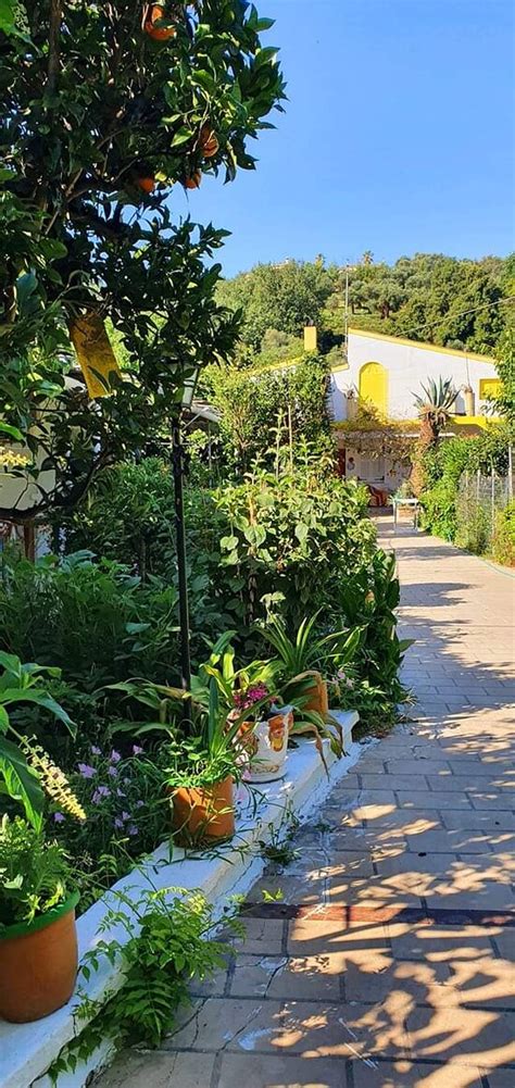 VILLA ELENA STUDIOS (Dassia, Corfu) - Apartment Reviews, Photos, Rate ...