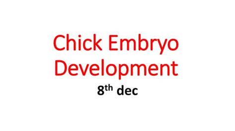 Chick Embryo Development 的图像结果