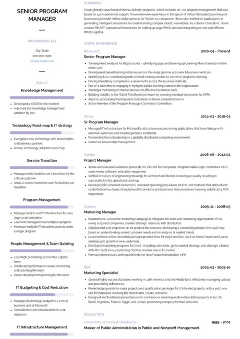 Program Manager Resume 的图像结果