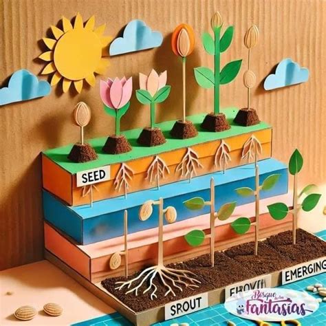 Soil Layers Science Project 的图像结果