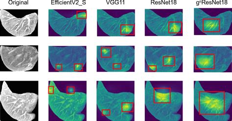 Image result for How Grad CAMWorks