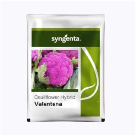 Buy Syngenta Valentena Cauliflower Seeds – Purple Hybrid | High Yield ...
