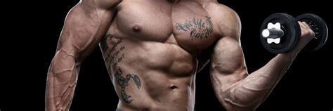 Link Between Testosterone Levels And Increased Persistence In Men ...