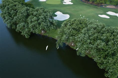 Golf Course 的图像结果