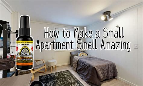 How to Make a Small Apartment Smell Amazing - BluntPower Air Freshener