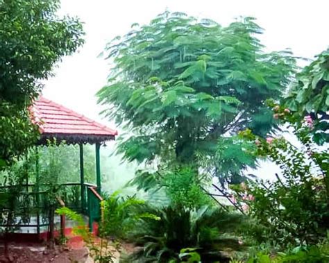 Kalote Mokashi Holiday Rentals & Homes - Maharashtra, India | Airbnb