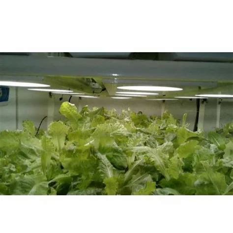 Hydroponic System - Automatic Plastic Hydroponic System Manufacturer ...