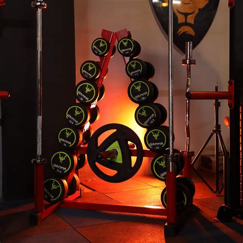 Dumbbells – Gamma Fitness