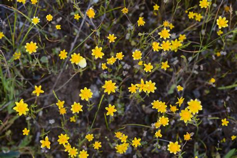 Protecting Biodiversity - Sonoma Land Trust