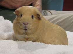 ZooLex Exhibit - Lacerte Family Children's Zoo: Discovery House and ...