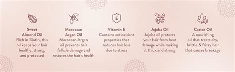 Buy Lafz Onion Seed Oil For Hair, Transform Dull & Weak Hair, Increases ...