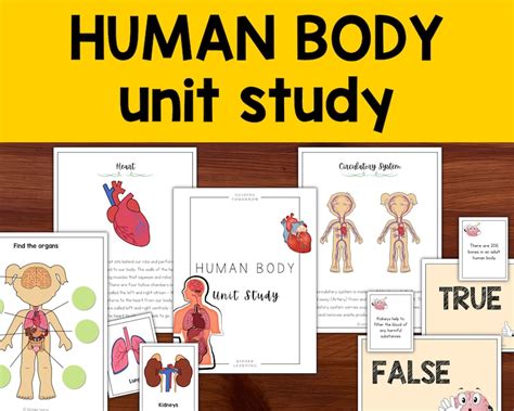 Buy Human Body Anatomy Unit, Body Organs and Body Systems, Homeschool ...