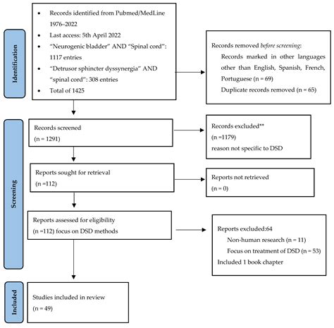 Evaluation Methods of Detrusor Sphincter Dyssynergia in Spinal Cord ...