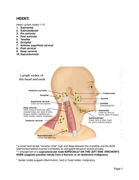 Heentassessment - HEENT: ####### Head: Lymph nodes 1- ####### 1. Submental ####### 2 ...