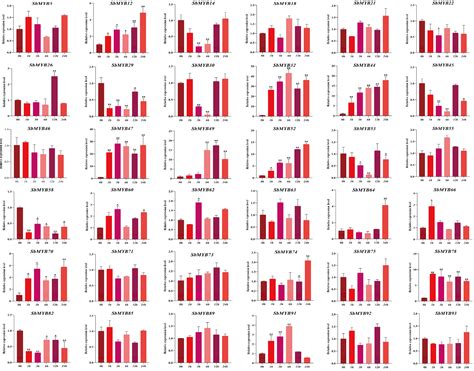 Systematic Analysis and Functional Characterization of R2R3-MYB Genes ...