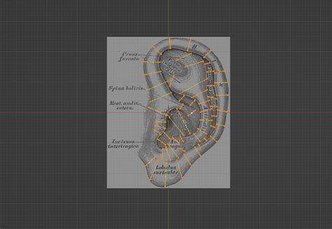 Image result for Tutorial Convertir Nurbs