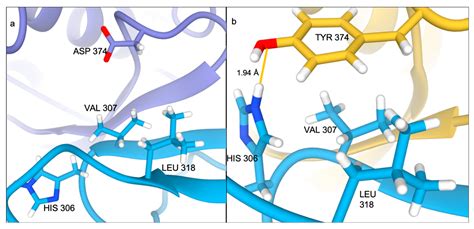 In Silico Insights into Protein–Protein Interaction Disruptive ...