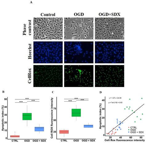 Sulodexide Increases Glutathione Synthesis and Causes Pro-Reducing ...
