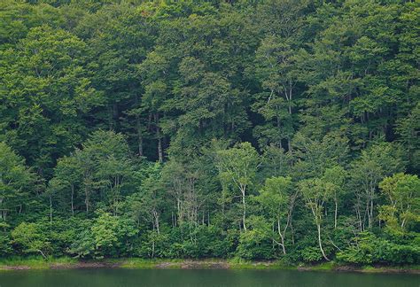 SEL70200GM2 | Lenses | Sony India