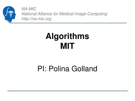 MIT OpenCourseWare Algorithms 的图像结果