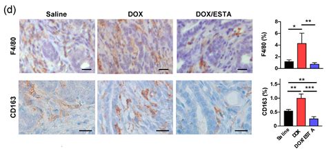 Functional Blockade of E-Selectin in Tumor-Associated Vessels Enhances ...