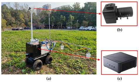 Low-Cost Plant-Protection Unmanned Ground Vehicle System for Variable ...