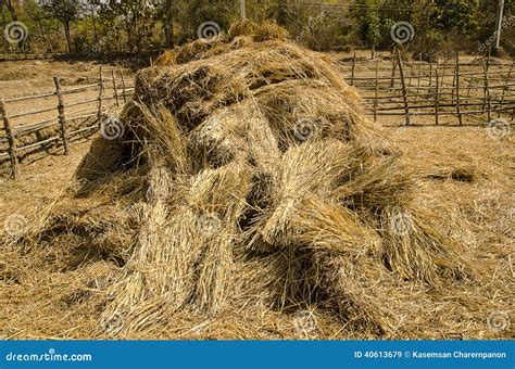 Haystack 的图像结果