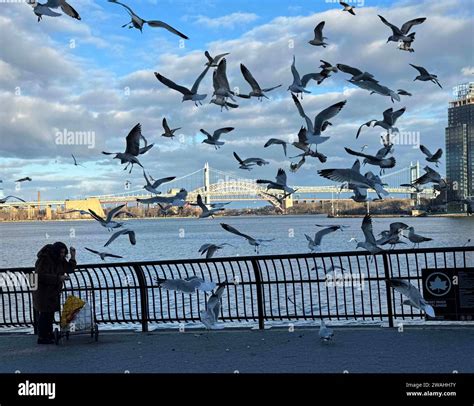New York, New York, USA. 4th Jan, 2024. A ninety year old woman feeds ...