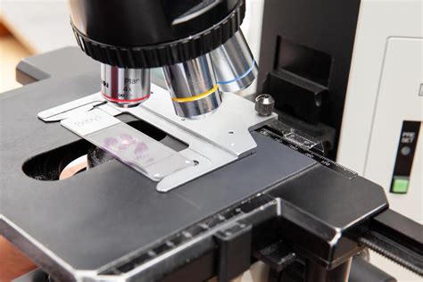 Image result for Microscope Slide Techniques