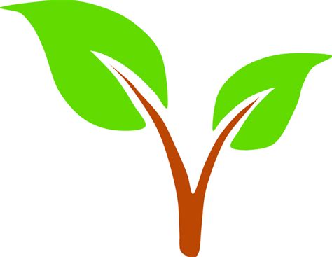 Soil and Water Conservation District | Albany County, NY