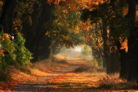 Fall 的图像结果