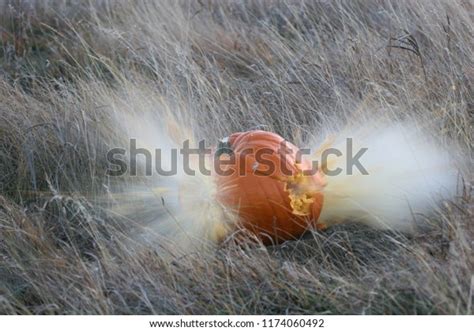 Image result for Ground Hogs Exploding Gunshot