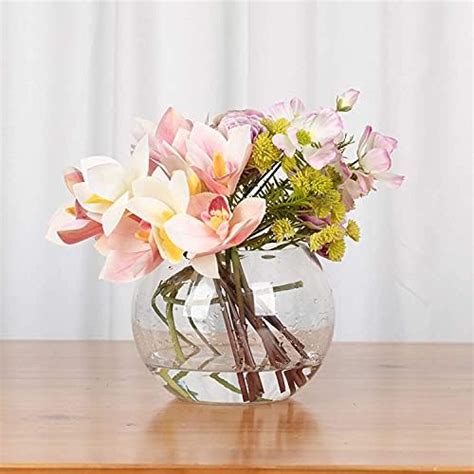 CAS 1L to 14L Clear Glass Fish Bowl (6 INCH) : Amazon.in: Pet Supplies