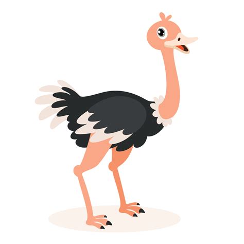 Cartoon Drawing Of An Ostrich 13536932 Vector Art at Vecteezy