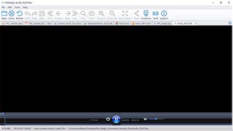 Image result for File Magic Review