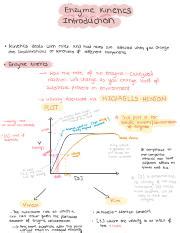 Image result for Biochemistry Reaction Kinetics Tutorial
