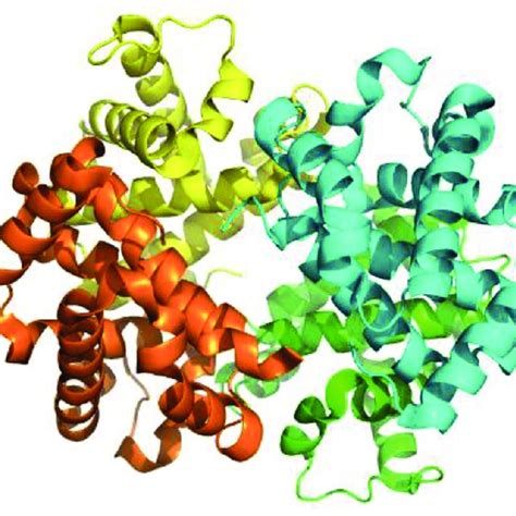 Image result for Normal Hemoglobin Structure