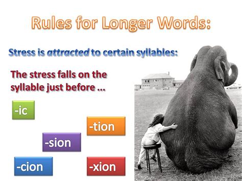 Spoken Language 的图像结果