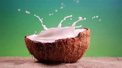 椰子汁的功效与作用及禁忌_椰子汁的营养价值及功效-美食百科-经验本