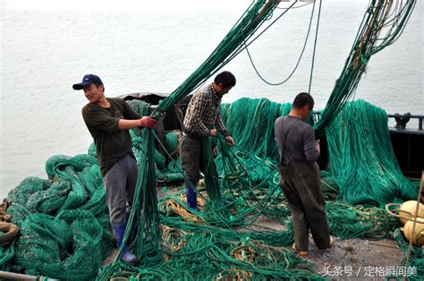 月薪万元的职业渔民 靠港休整后 55元一斤的海味当点心吃 无人尝
