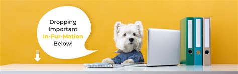 Courses & Seminars – Fur Ball Story
