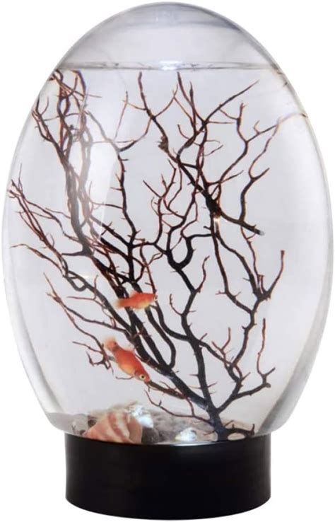 Ckuakiwu Mini Fish Tank, Desktop Aquarium, 19cm Ecosphere India | Ubuy