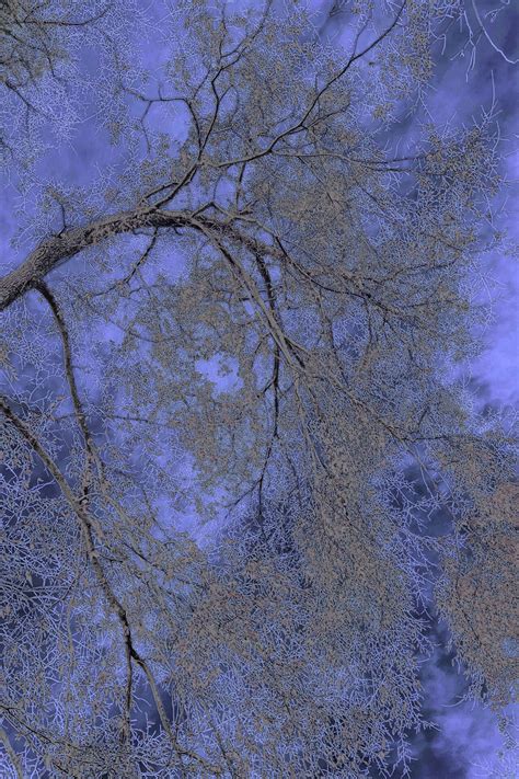 Hudson River Valley 4 - FRANK Gallery