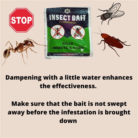 Best Cockroach Killer & Other Insects Killer Bait | Effective For ...