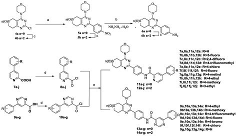 Synthesis and Biological Evaluation of Novel 4-Morpholino-7,8-dihydro ...
