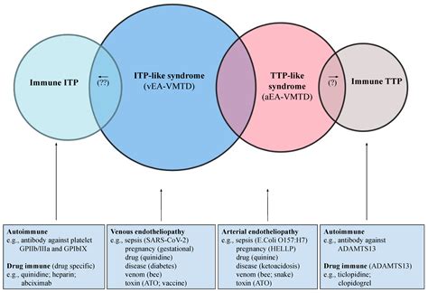 Molecular Pathogenesis of Endotheliopathy and Endotheliopathic ...